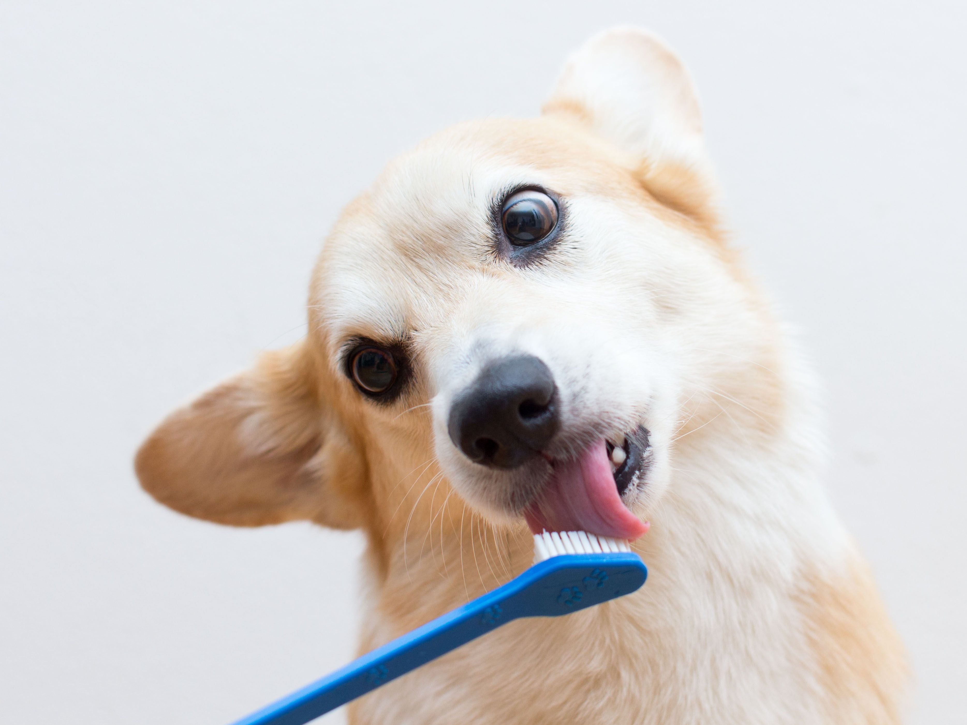 Normal brushing