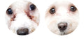 Tear stain treatment
